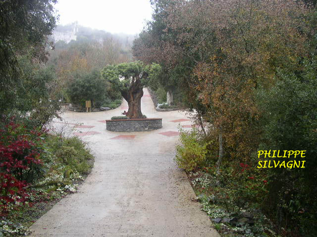 02 Santa Catalina